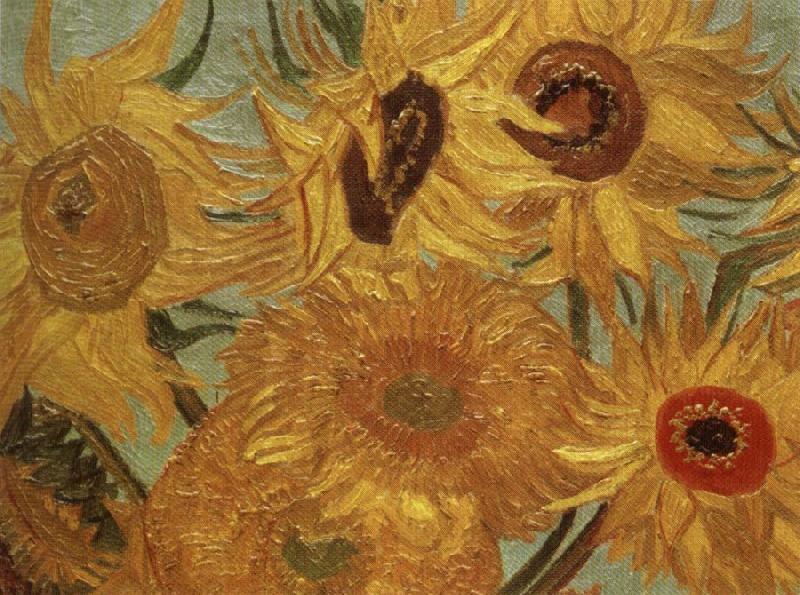 Vincent Van Gogh Sunflowers oil painting picture